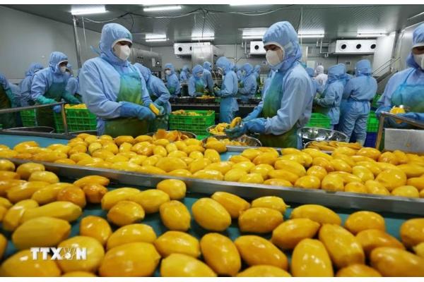 Mỹ thúc đẩy xuất khẩu nông sản sang Việt Nam